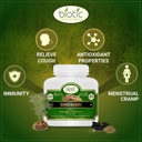 generic-ken-shatavari-capsules-500mg---6-2.jpg