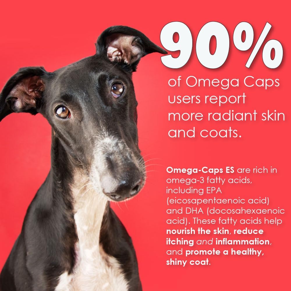 pet-health-solutions-es-liquid-for-dogs--4.jpg