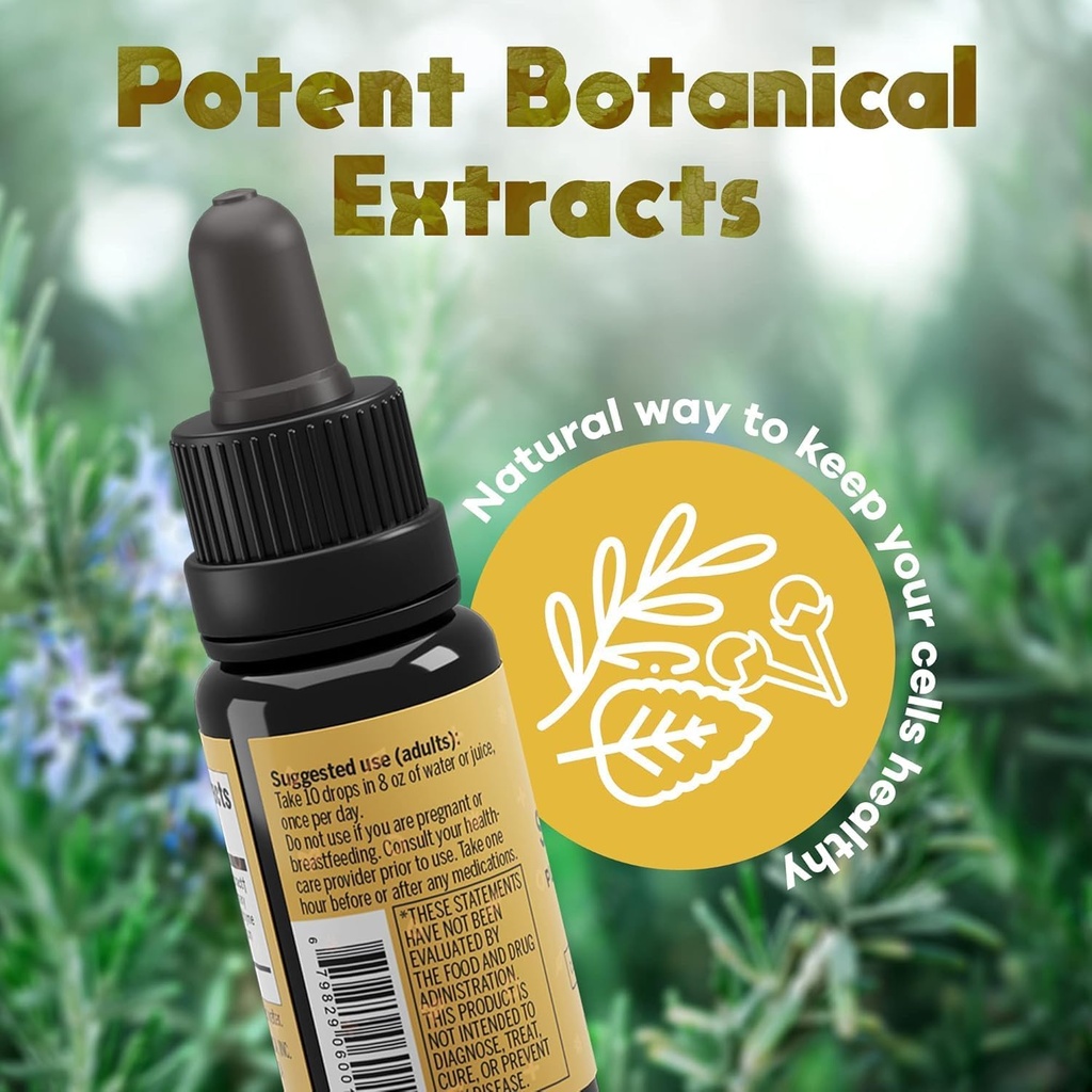 activation-solaris-essential-oil-15-ml-a-6.jpg