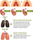 breathdetox-herbal-lung-cleansing-spray--6.jpg