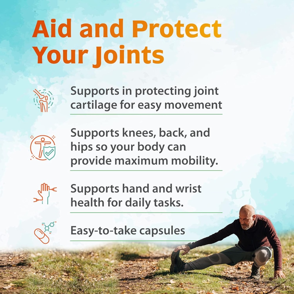 zenith-labs-joint-n-11-joint-health-supp-4.jpg