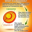 complete-plant-based-antioxidant-immune--5.jpg