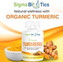 organic-turmeric-supplement---joint-immu-3.jpg