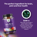 bundle-of-pure-sam-e-nootropic-brain-sup-6.jpg