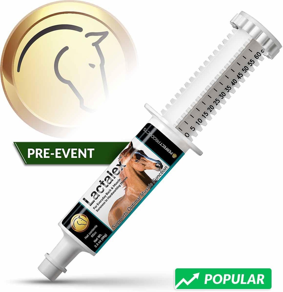 lactalex-equine-muscle-function-and-lact-2.jpg