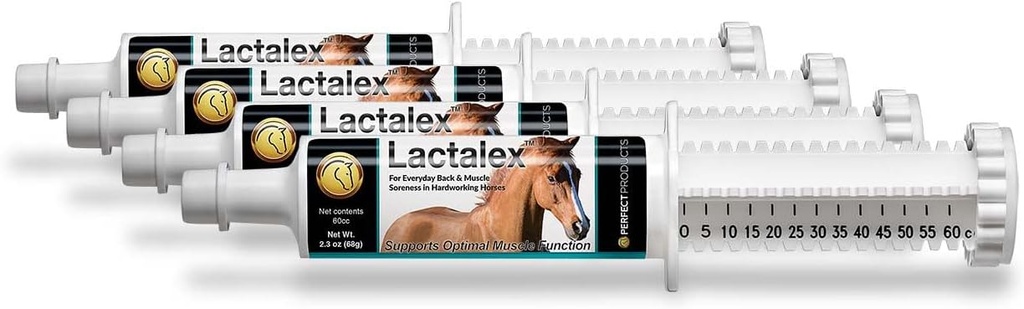 lactalex-equine-muscle-function-and-lact-5.jpg