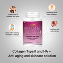 collagen-type-ii-hyaluronic-acid-60-caps-4.jpg