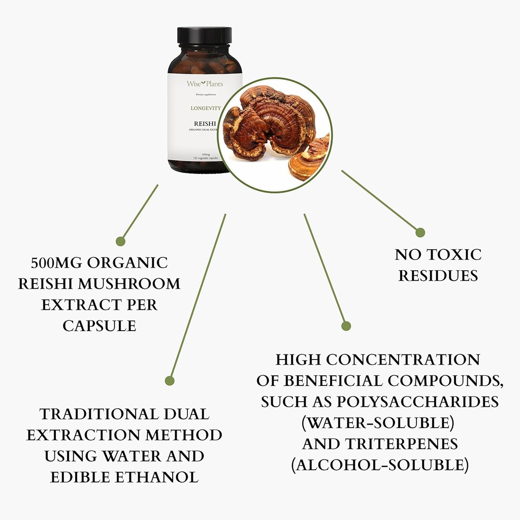 reishi-mushroom-supplement-dual-extract--4.jpg