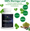 moringa-antioxidant-capsules---natural-m-2.jpg