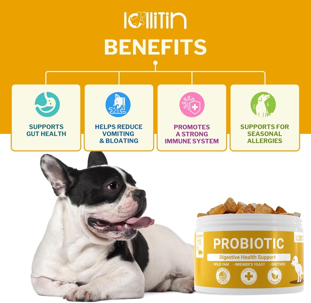 probiotics-for-dogs---support-gut-digest-2.jpg