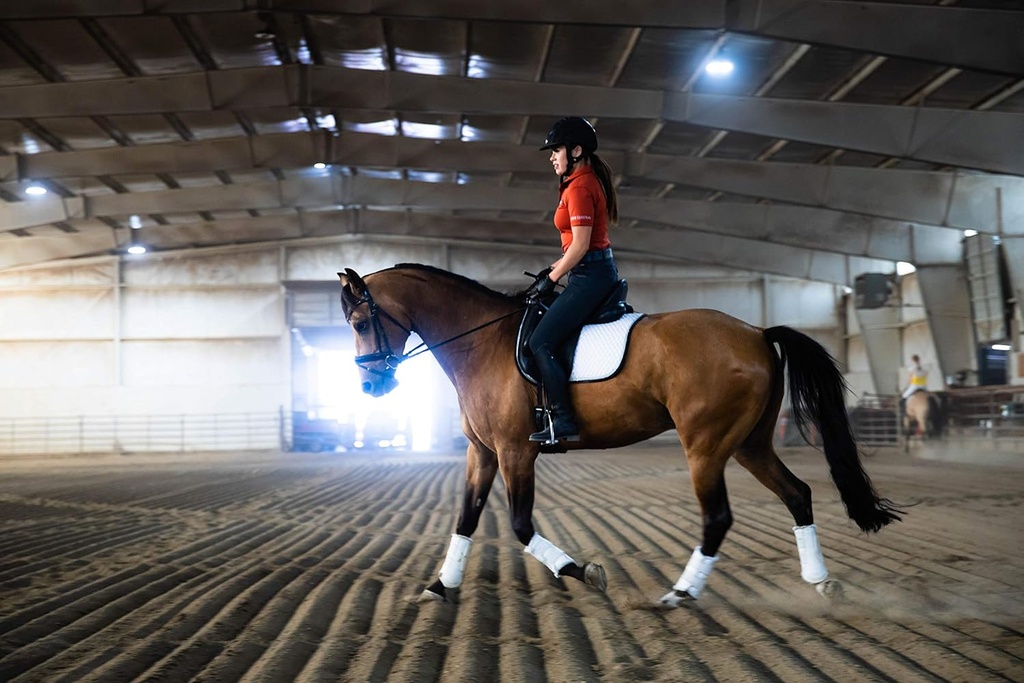 pre-performance-paste-for-horses---all-n-4.jpg