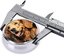 round-pill-box-3-compartment-pill-box-pi-3.jpg