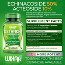 cistanche-tubulosa-capsules---50-echinac-2.jpg