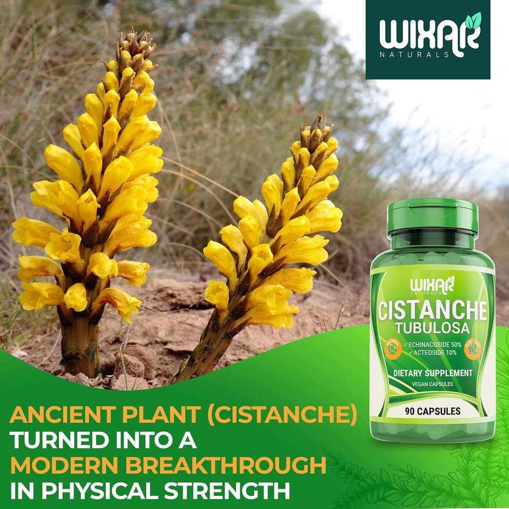 cistanche-tubulosa-capsules---50-echinac-6.jpg