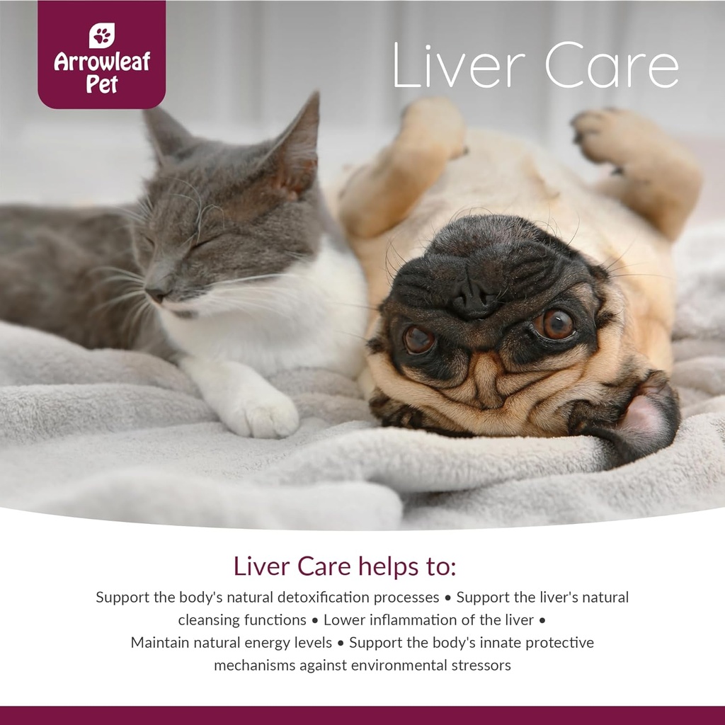 liver-care-by-naturpet-inc-for-cats-and--4.jpg