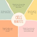 generic-ckls-colon-kidney-liver-spleen-s-4.jpg