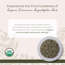 starwest-botanicals-dried-echinacea-angu-2.jpg