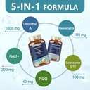 totaria-cortisol-supplementurolithin-a-s-2.jpg