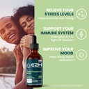 e2h-ashwagandha-liquid-drops---all-natur-2.jpg