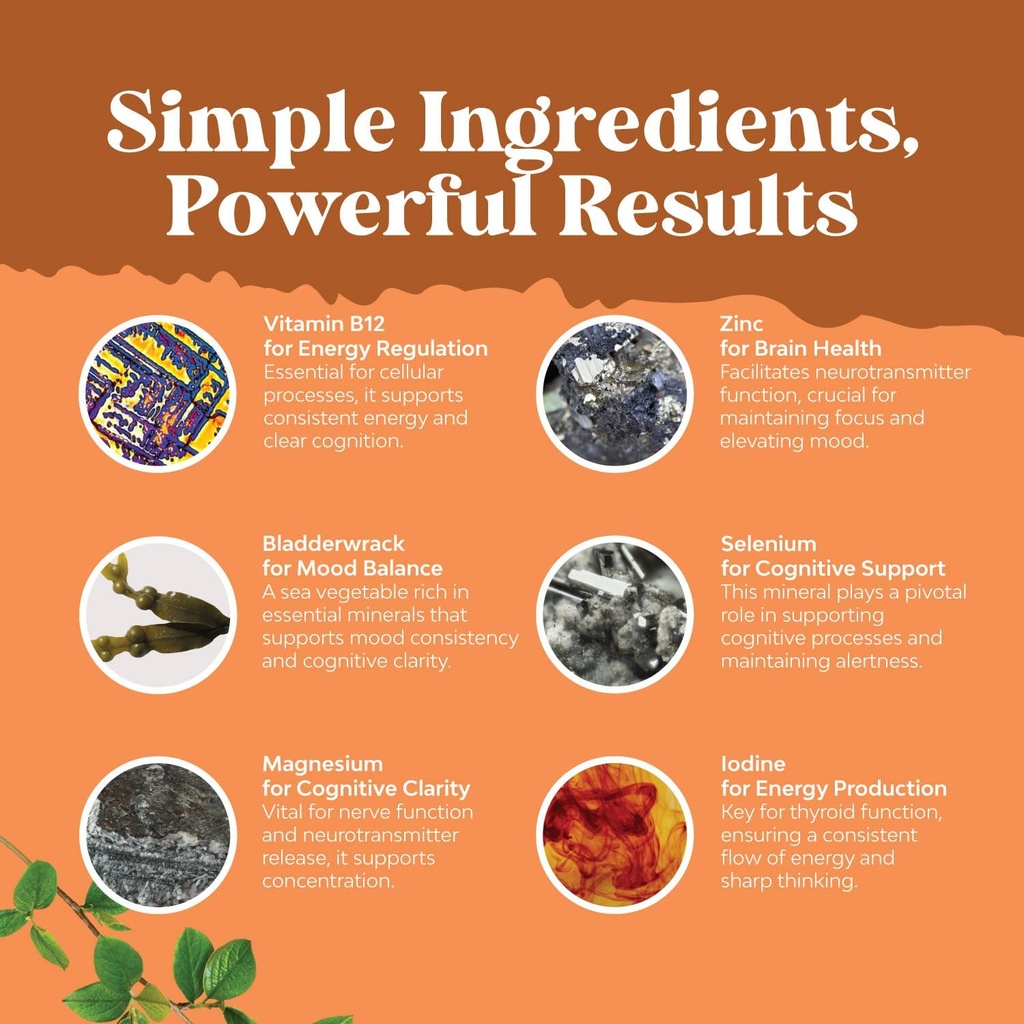 bundle-of-herbal-thyroid-support-complex-6.jpg
