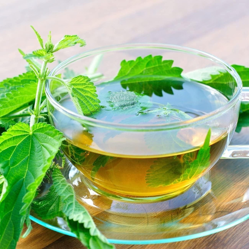 nettle-leaf---urtica-dioica-dried-loose--2.jpg