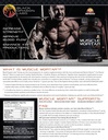 muscle-mortar-creatine-hcl-increase-stre-2.jpg