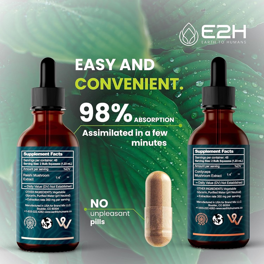 e2h-reishi-cordyceps-extracts---energy-l-3.jpg