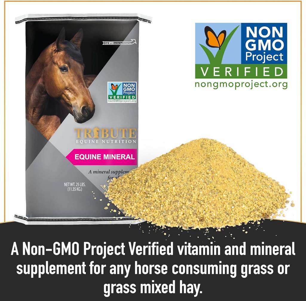 non-gmo-equine-12-8-mineral-supplement-2-3.jpg