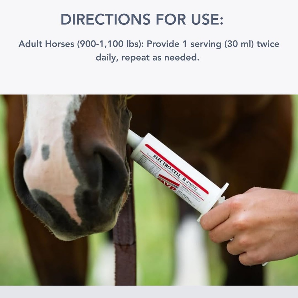 electro-cell-ii-electrolyte-paste-for-ho-5.jpg