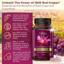 vinia-blood-flow-supplement-super-bundle-4.jpg