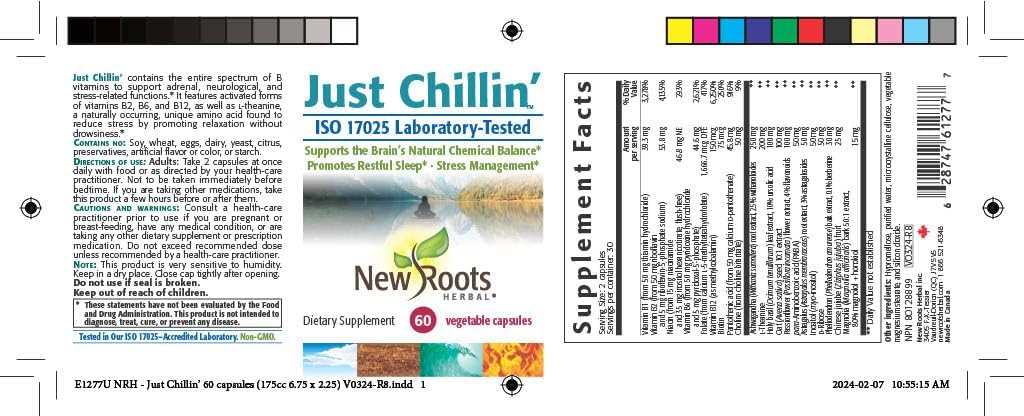 new-roots-herbal-complete-vitamin-b-supp-2.jpg