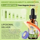totaria-liposomal-rhodiola-rosea-tinctur-3.jpg