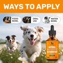 dog-antibiotics-for-infections-allergies-5.jpg
