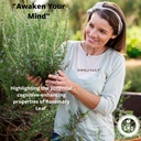 rosemary-leaf-extract-liquid-supplement--2.jpg