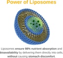 liposomal-mens-liquid-multivitamin-drops-3.jpg