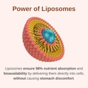 liposomal-mens-50-liquid-multivitamin-dr-3.jpg