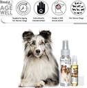 the-blissful-dog-shetland-sheepdog-age-w-3.jpg
