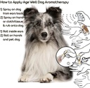 the-blissful-dog-shetland-sheepdog-age-w-4.jpg