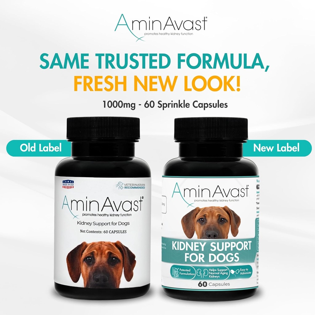 aminavast-kidney-support-supplement-for--2.jpg