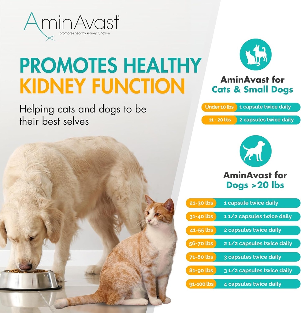 aminavast-kidney-support-supplement-for--6.jpg