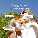 petlab-co-skin-coat-chew---optimize-scal-4.jpg