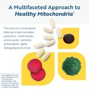 researched-nutritionals-nt-factor-energy-3.jpg