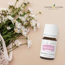 young-living---german-chamomile-vitality-5.jpg
