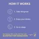 blowfish-wingman-feel-better-after-drink-5.jpg