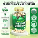 maju-superfoods-mushroom-capsules-bundle-5.jpg