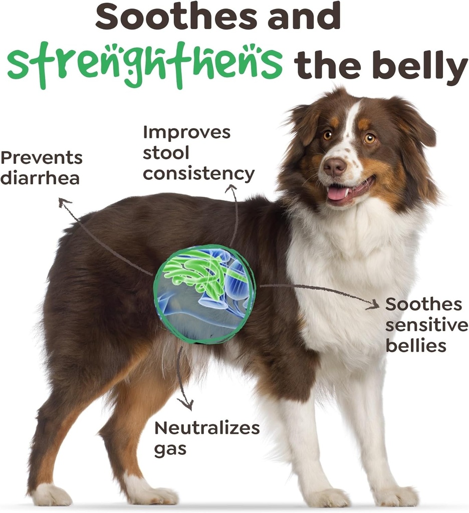 probiotics-for-dogs-with-4-billion-cfu-9-3.jpg