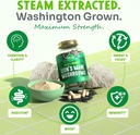 maju-superfoods-mushroom-capsules-bundle-6.jpg