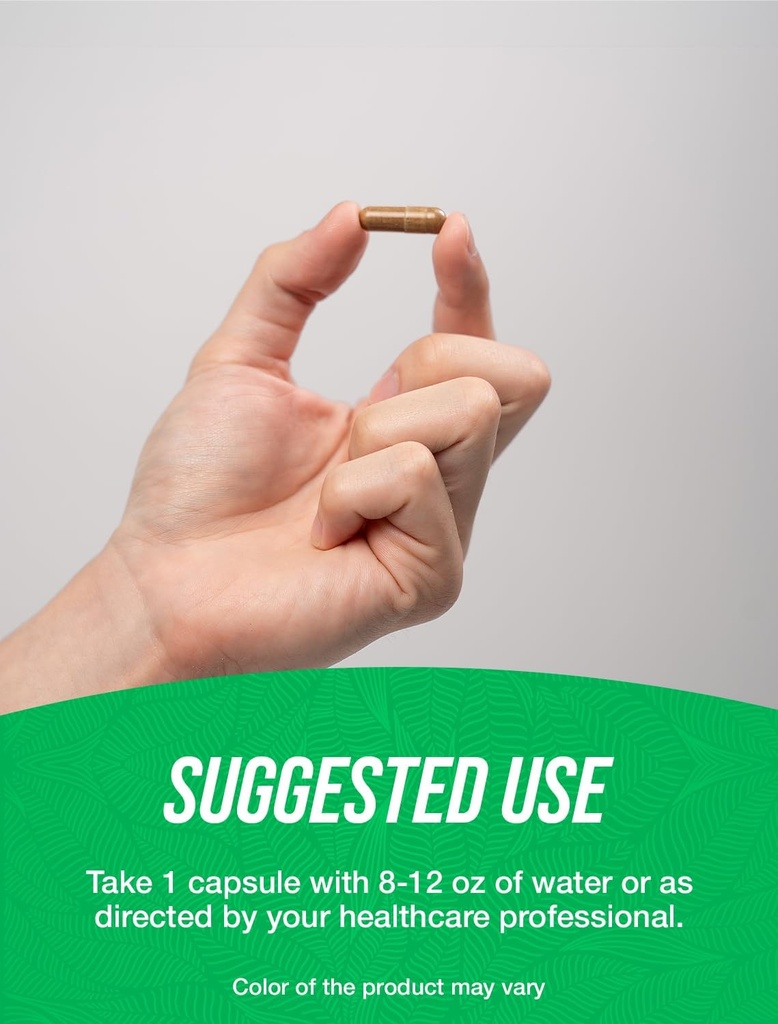 bulksupplementscom-green-coffee-bean-ext-4.jpg