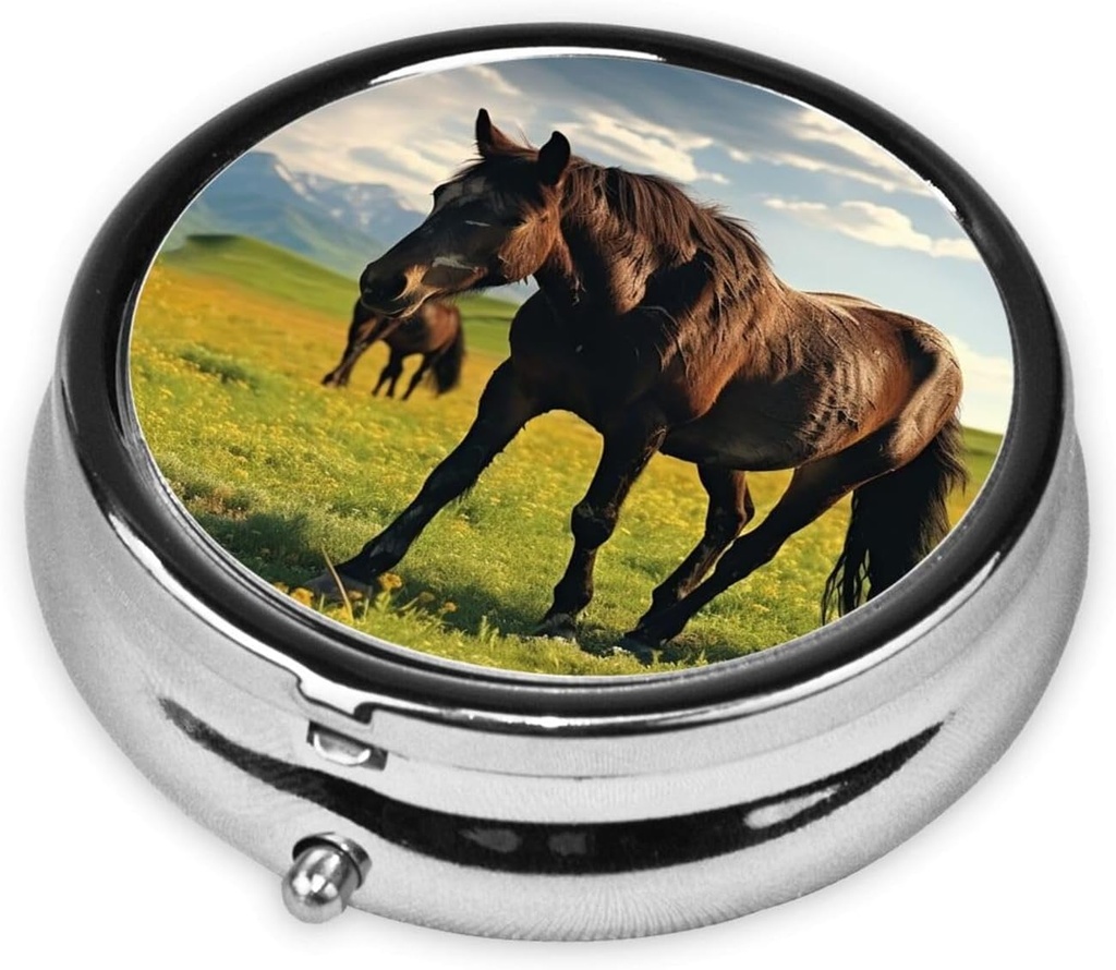 pill-case-pill-box-with-mirror-small-pil-3.jpg