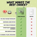 renude-chaga-matcha-and-chagaccino---cha-3.jpg